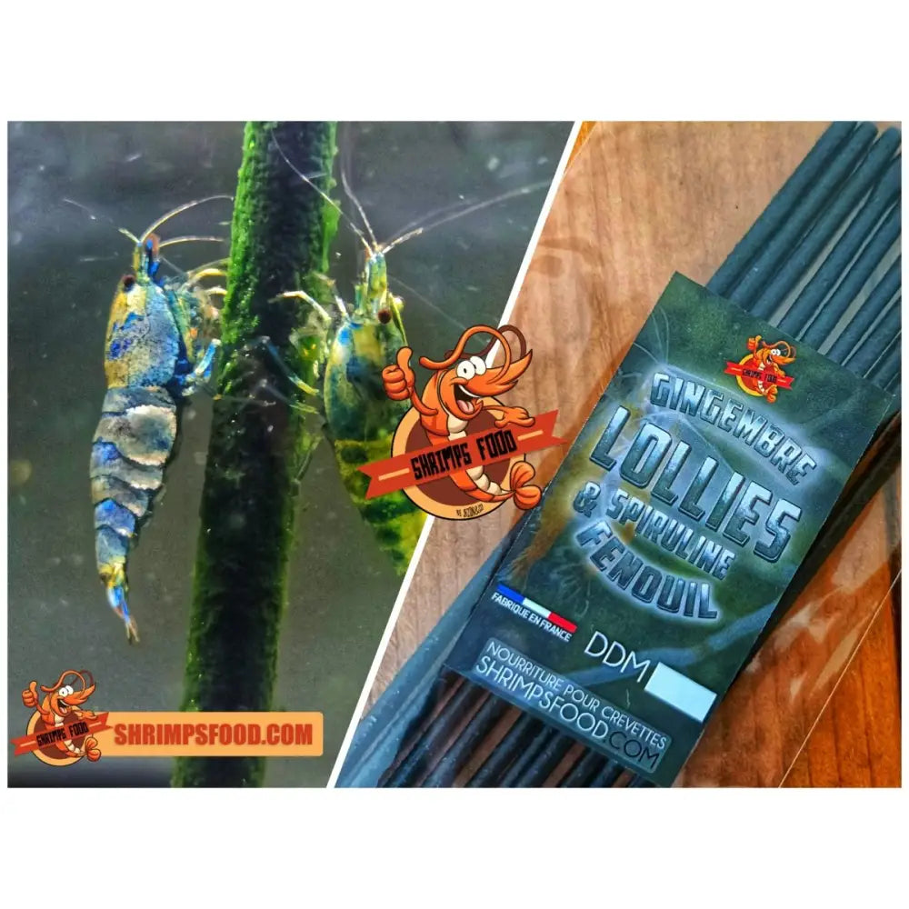 Lollies gingembre spiruline fenouil