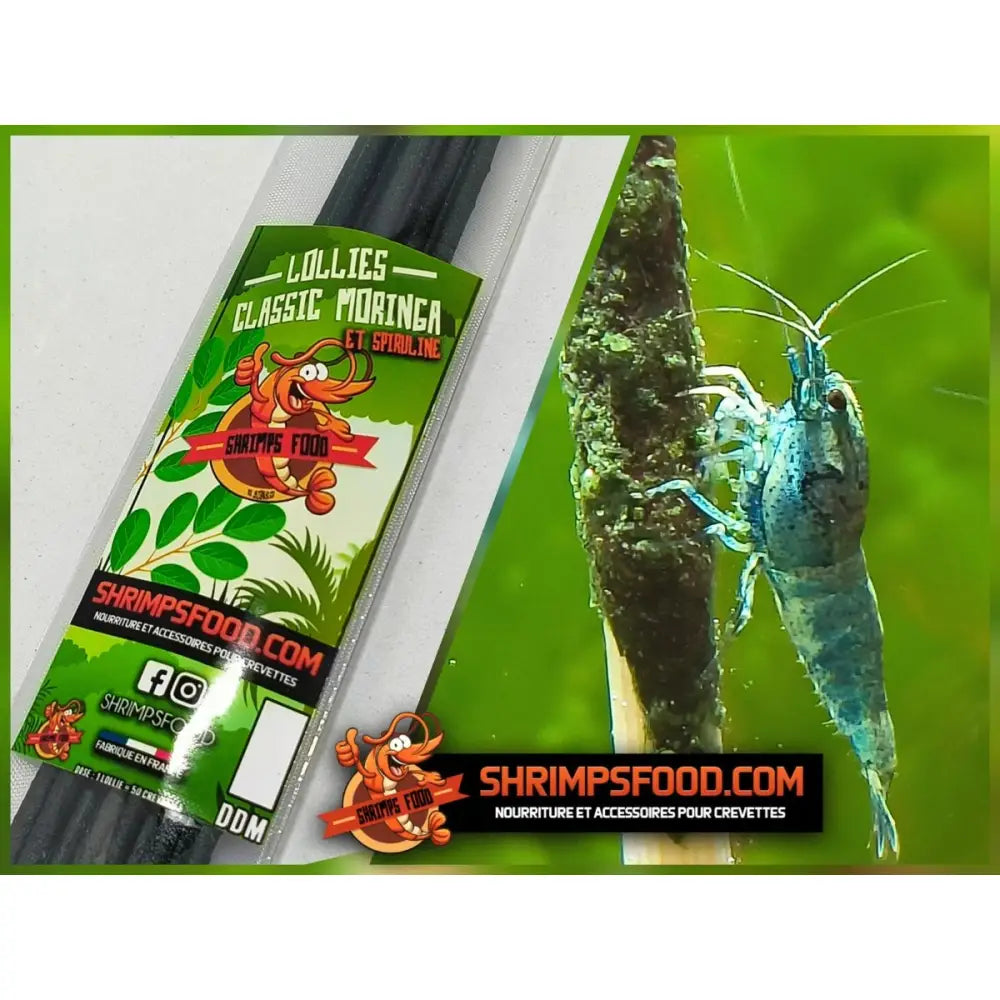 Lollies pour crevettes Classic Moringa