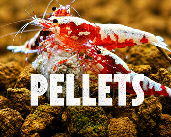 Pellets pour crevettes Caridina & Neocaridina