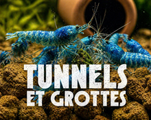 Tunnel et grotte aquarium