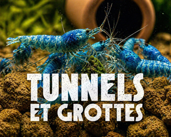 Tunnel et grotte aquarium