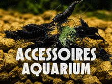 Accessoires pour aquarium