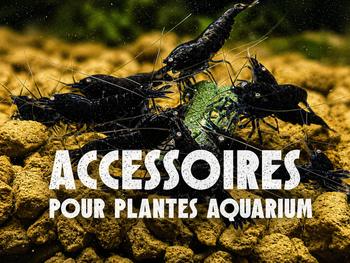 Accessoires pour aquarium