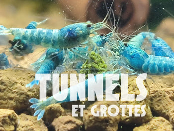 Tunnel et grotte aquarium