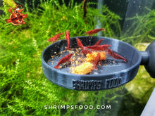 Charger l&#39;image dans la galerie, lollies pour crevettes aquarium shrimpsfood nourriture pour crevettes pellets pour crevettes
