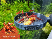 Charger l&#39;image dans la galerie, Nourriture pour crevettes - Pack complet
