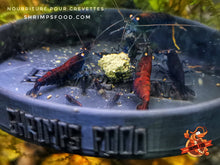 Charger l&#39;image dans la galerie, lollies pour crevettes aquarium shrimpsfood nourriture pour crevettes
