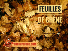 Charger l&#39;image dans la galerie, Feuilles de chêne pour aquarium
