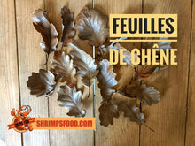 Charger l&#39;image dans la galerie, Feuilles de chêne pour aquarium
