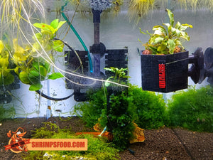 Pot ventousé pour plantes