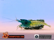 Charger l&#39;image dans la galerie, Photoshoot Box shrimp
