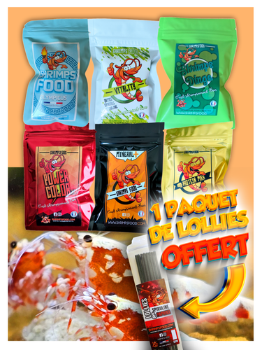 lollies pour crevettes aquarium shrimpsfood nourriture pour crevettes pellets pour crevettes