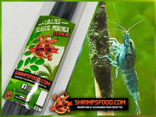 Charger l&#39;image dans la galerie, lollies pour crevettes aquarium shrimpsfood nourriture pour crevettes pellets pour crevettes
