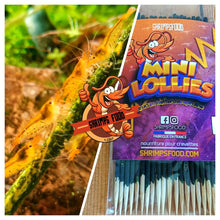Charger l&#39;image dans la galerie, lollies pour crevettes aquarium shrimpsfood nourriture pour crevettes pellets pour crevettes
