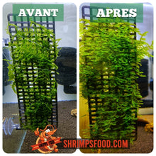 Charger l&#39;image dans la galerie, Support pour mousses latéral
