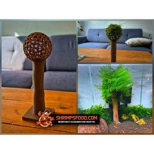 Arbre magique aquarium
