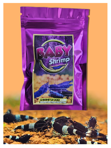 lollies pour crevettes aquarium shrimpsfood nourriture pour crevettes pellets pour crevettes