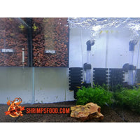 Bacterie Box shrimpsfood