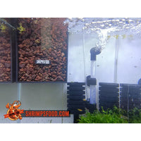 Bacterie Box shrimpsfood