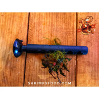 Barre Bucephalandra 10cm