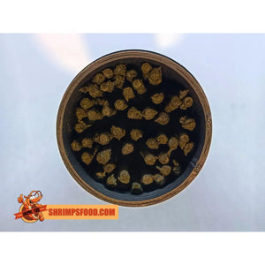 boîte à lollies pour crevettes aquarium shrimpsfood