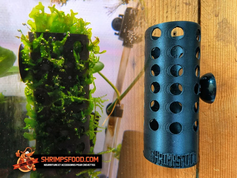 Buisson ventousé aquarium