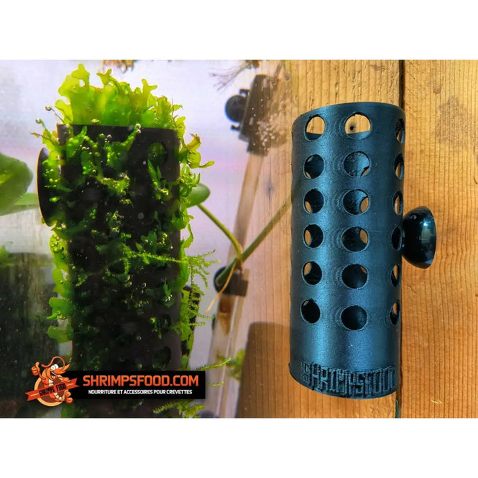 Buisson ventousé aquarium