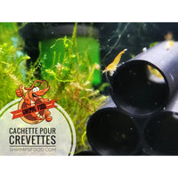 cachette pour crevette aquarium shrimpsfood