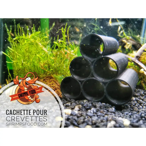 cachette pour crevette aquarium shrimpsfood