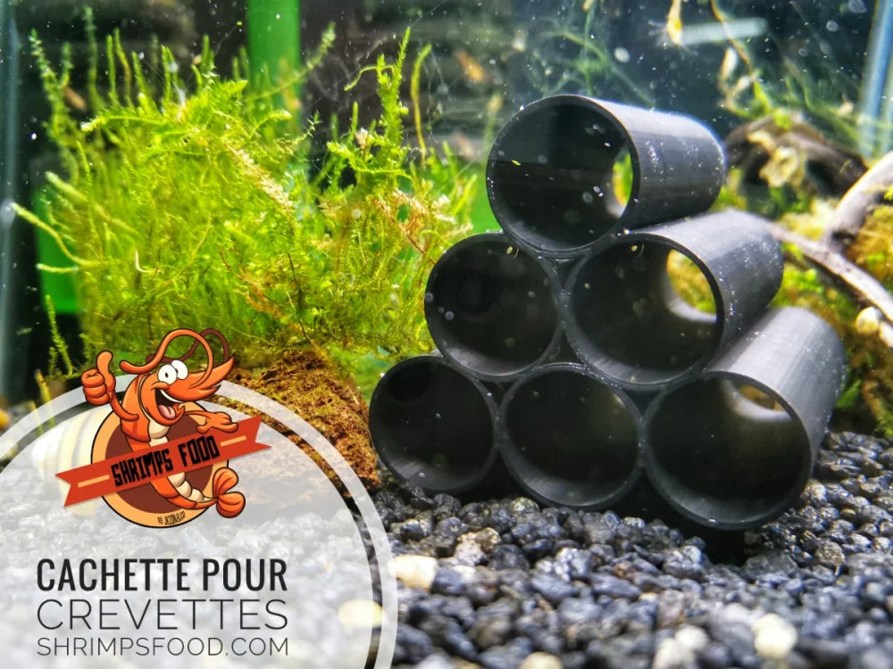 Cachette pour crevettes d’aquarium – Caridina & Neocaridina