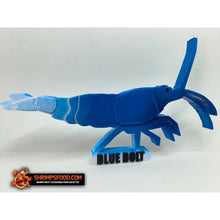 Laden Sie das Bild in den Galerie-Viewer, Crevettes à collectionner - Blue Bolt
