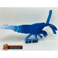 Crevettes à collectionner - Blue Bolt