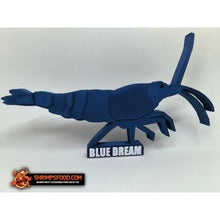 Laden Sie das Bild in den Galerie-Viewer, Crevettes à collectionner - Blue dream
