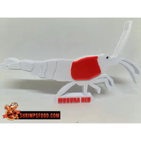 Crevettes à collectionner - Mosura red