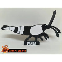 Crevettes à collectionner - Panda