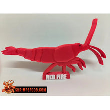 Laden Sie das Bild in den Galerie-Viewer, Crevettes à collectionner - Red fire
