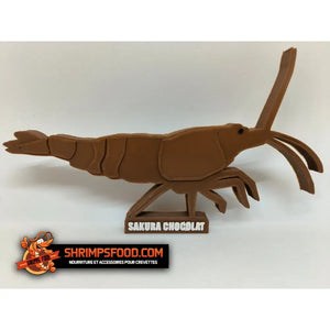Crevettes à collectionner - Sakura chocolat