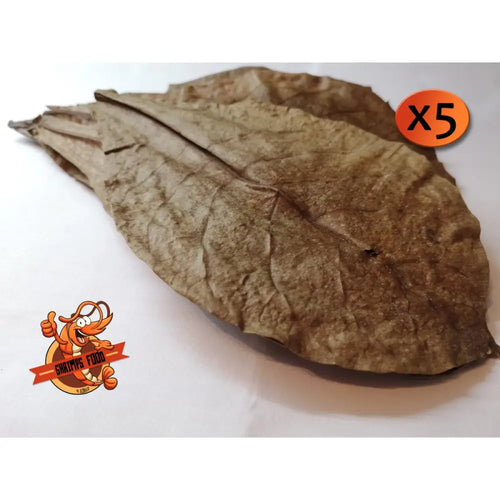 Feuilles de catappa shrimpsfood pour crevettes