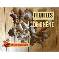 Feuilles de chêne pour aquarium