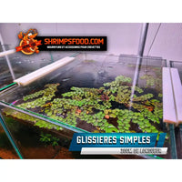 Glissières simples pour aquarium