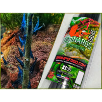 Lollies pour crevettes épinards spiruline - nourriture crevettes aquarium