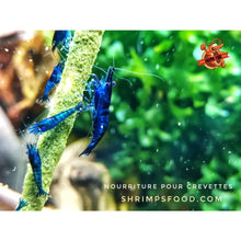 Charger l&#39;image dans la galerie, lollies pour crevettes aquarium shrimpsfood nourriture pour crevettes pellets pour crevettes
