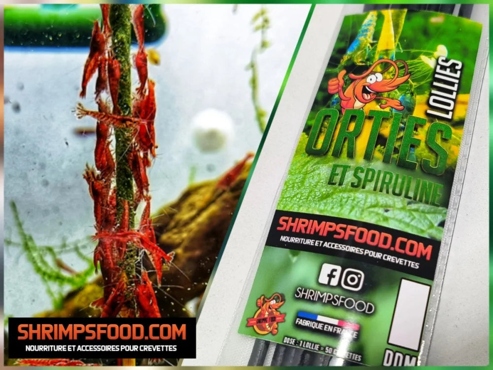 Lollies pour crevettes Orties et spiruline