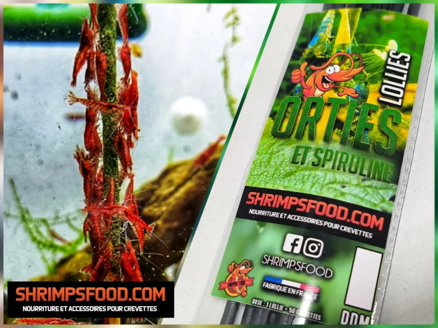 Lollies pour crevettes Orties et spiruline