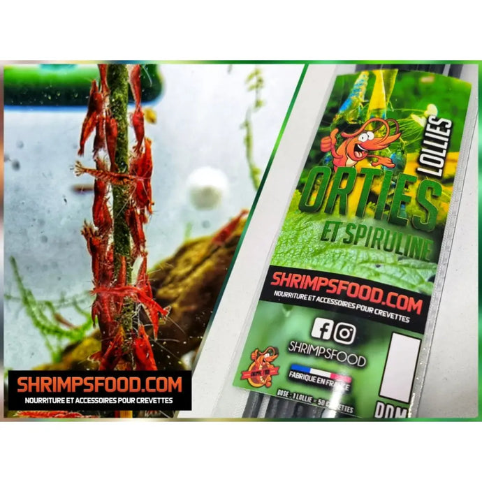 lollies pour crevettes aquarium shrimpsfood nourriture pour crevettes pellets pour crevettes
