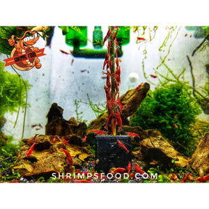 lollies pour crevettes aquarium shrimpsfood nourriture pour crevettes pellets pour crevettes