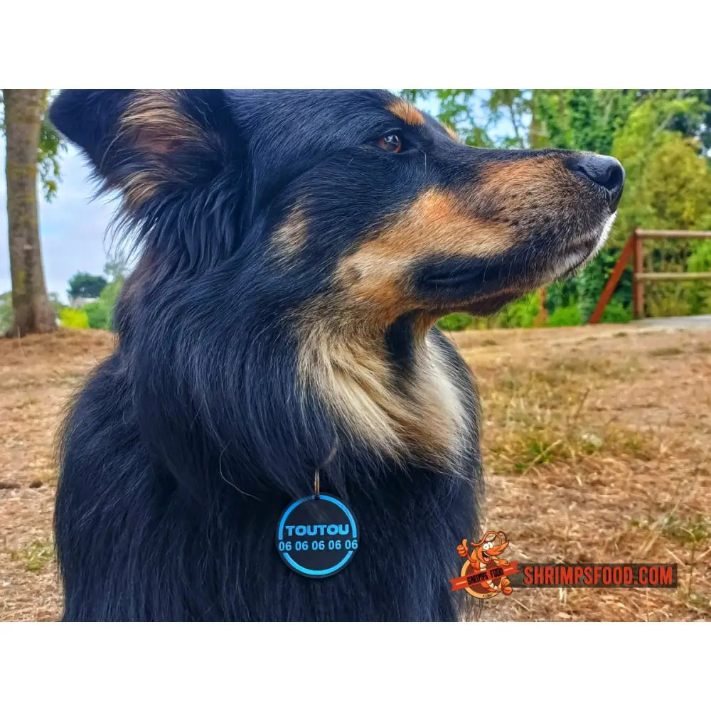 Médaillon pour chien personnalisable