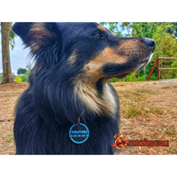 Médaillon pour chien personnalisable
