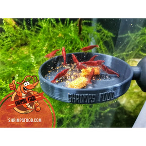 Pack complet Shrimpsfood pour crevettes d’aquarium – sticks de nourriture variés, mini lollies spiruline, coupelle de nourrissage et feuilles de catappa