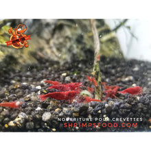 Charger l&#39;image dans la galerie, Pack complet Shrimpsfood pour crevettes d’aquarium – sticks de nourriture variés, mini lollies spiruline, coupelle de nourrissage et feuilles de catappa
